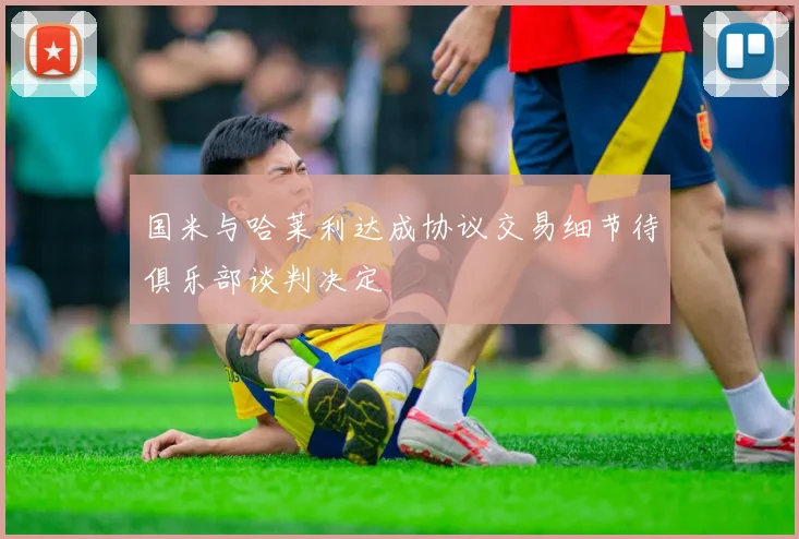 国米与哈莱利达成协议交易细节待俱乐部谈判决定