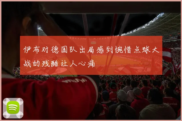 伊布对德国队出局感到惋惜点球大战的残酷让人心痛